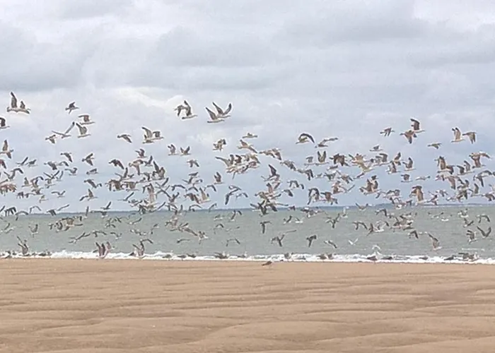 Village 4 Etoiles Aux Charmettes 캠프장 레 마트