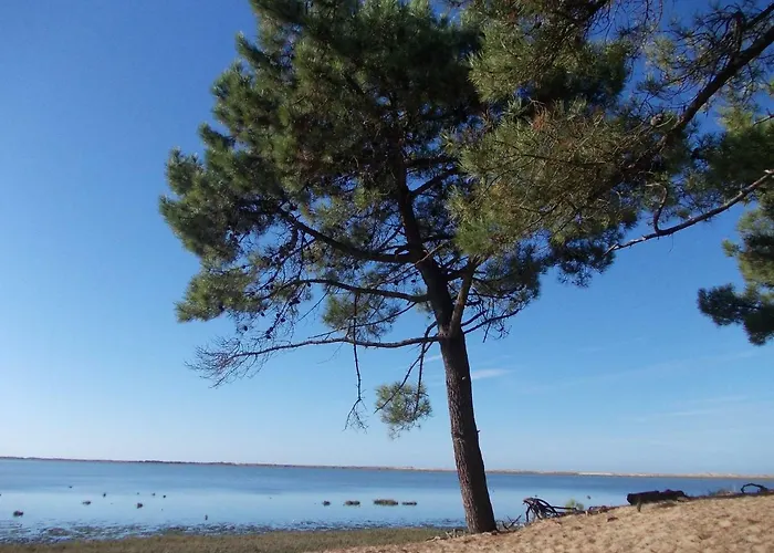 Village 4 Etoiles Aux Charmettes *