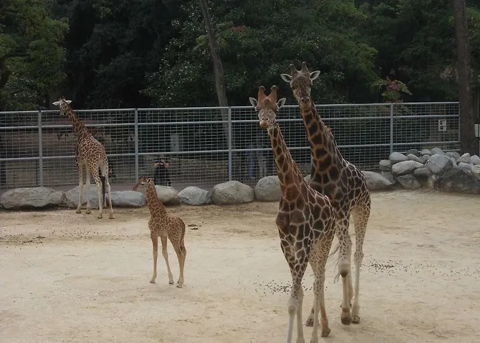 Village 4 Etoiles Aux Charmettes 캠프장 *