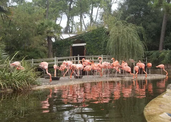 Village 4 Etoiles Aux Charmettes 캠프장 레 마트