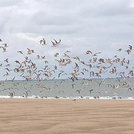 Village 4 Etoiles Aux Charmettes Campsite Les Mathes