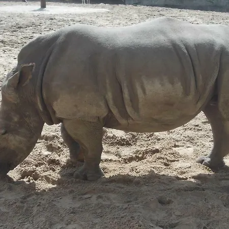 Campsite Village 4 Etoiles Aux Charmettes *