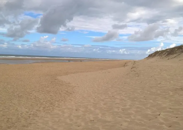 Campingplads Village 4 Etoiles Aux Charmettes Les Mathes