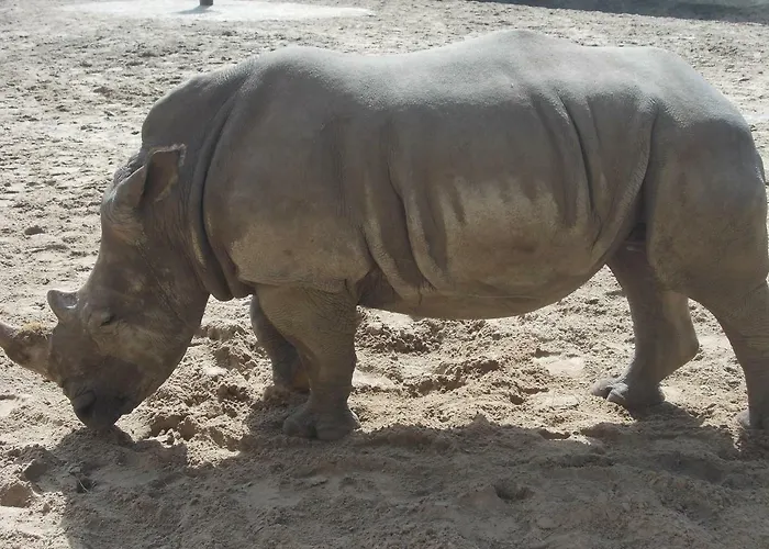 Campingplads Village 4 Etoiles Aux Charmettes *